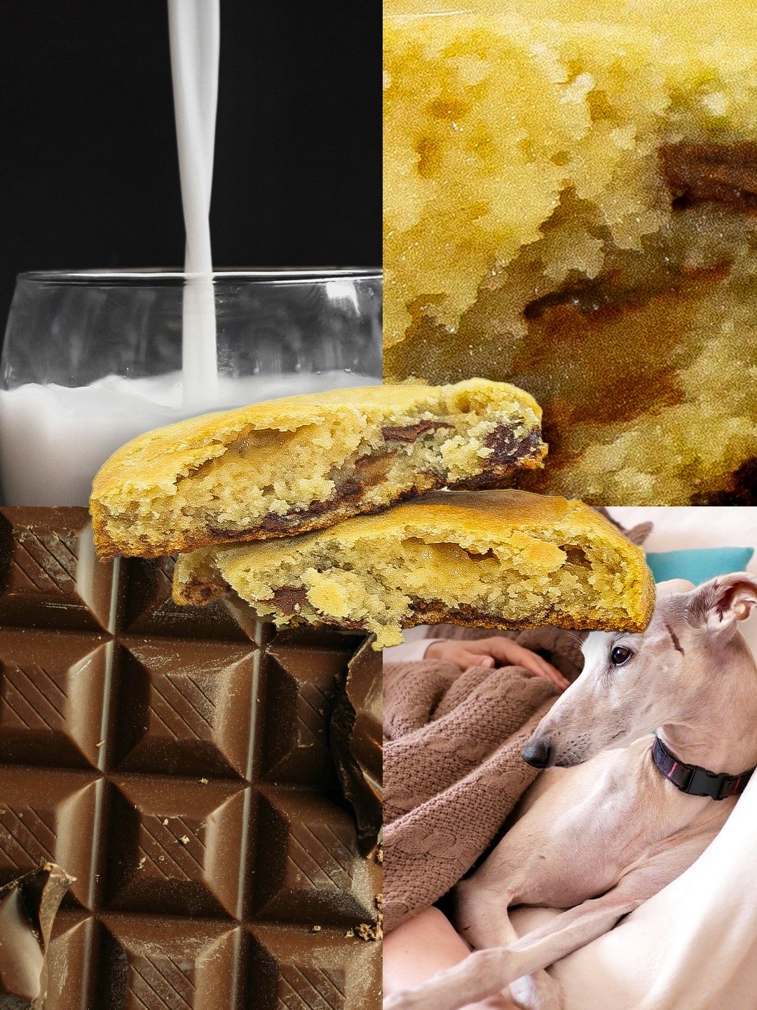 Irene's Dough Cookie